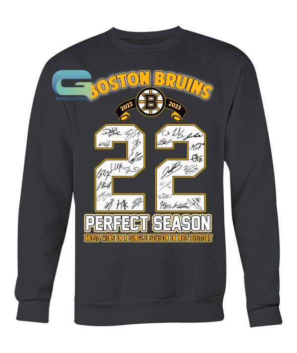 Boston Bruins Perfect Season 2022-2023 Most Wins In A Single Season In NHL History T-Shirt