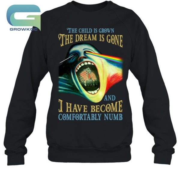 Pink Floyd The Child Is Grown The Dream Is Gone And I Have Become Comfortably Numb T-Shirt