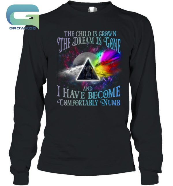 The Child Is Grown The Dream Is Gone And I Have Become Comfortably Numb Pink Floyd Vintage T-Shirt