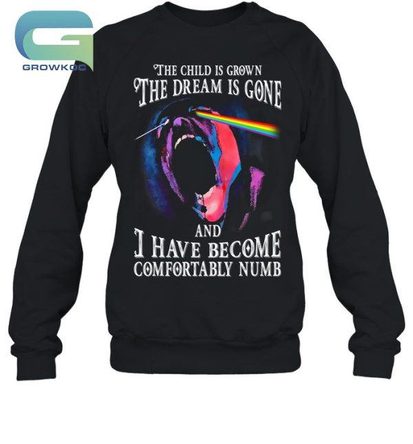 Pink Floyd The Child Is Grown The Dream Is Gone T-Shirt