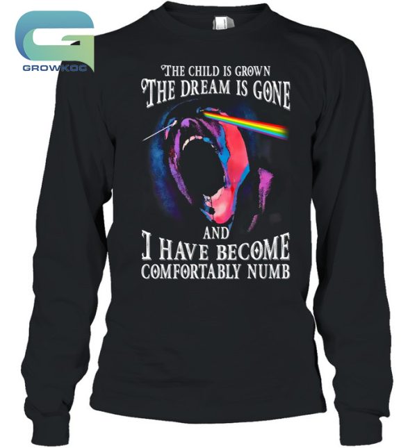 Pink Floyd The Child Is Grown The Dream Is Gone T-Shirt