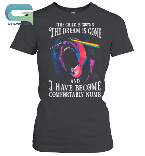 Pink Floyd The Child Is Grown The Dream Is Gone T-Shirt