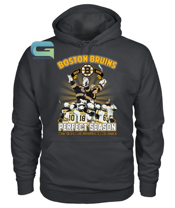 Boston Bruins 2022-2023 Most Wins In A Single Season In NHL History T-Shirt