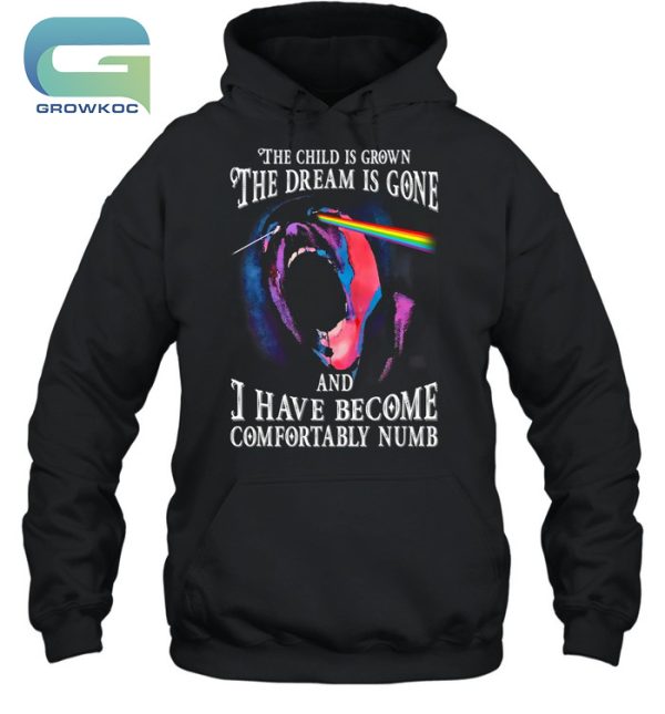 Pink Floyd The Child Is Grown The Dream Is Gone T-Shirt