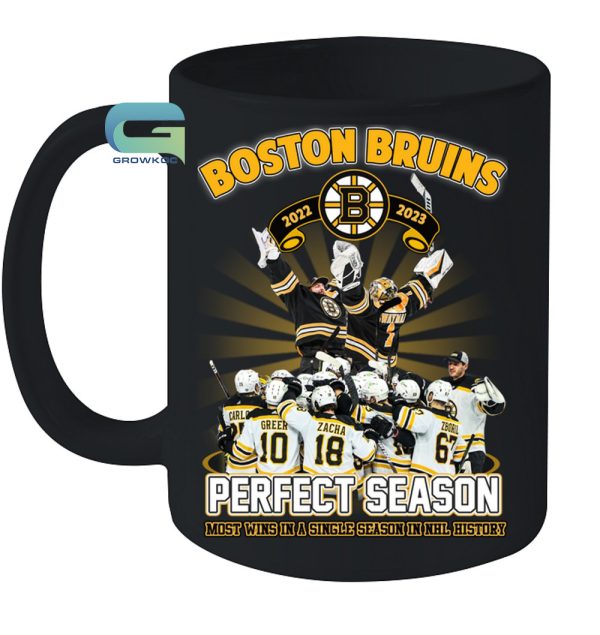 Boston Bruins 2022-2023 Most Wins In A Single Season In NHL History T-Shirt