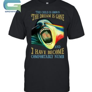 Pink Floyd The Child Is Grown The Dream Is Gone And I Have Become Comfortably Numb T-Shirt