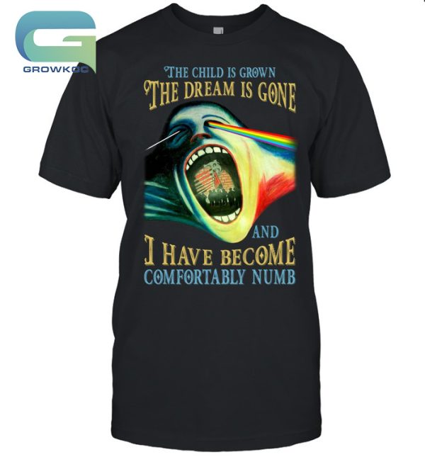 Pink Floyd The Child Is Grown The Dream Is Gone And I Have Become Comfortably Numb T-Shirt