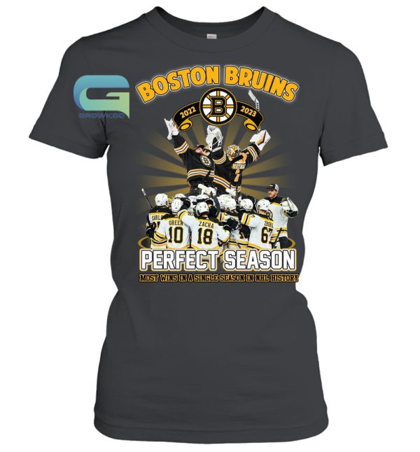 Boston Bruins 2022-2023 Most Wins In A Single Season In NHL History T-Shirt