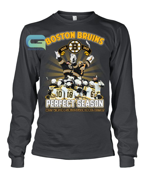 Boston Bruins 2022-2023 Most Wins In A Single Season In NHL History T-Shirt