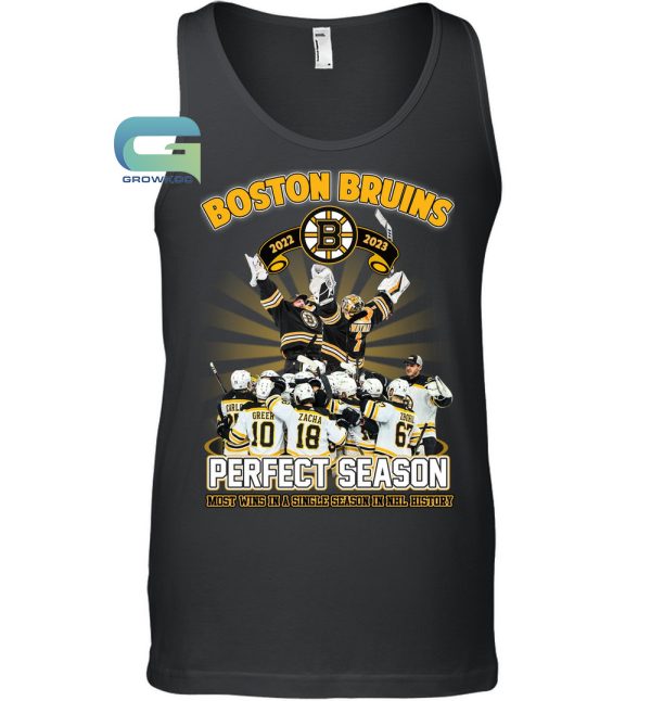 Boston Bruins 2022-2023 Most Wins In A Single Season In NHL History T-Shirt