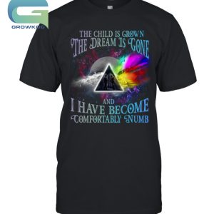 The Child Is Grown The Dream Is Gone And I Have Become Comfortably Numb Pink Floyd Vintage T-Shirt