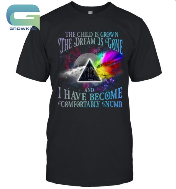 The Child Is Grown The Dream Is Gone And I Have Become Comfortably Numb Pink Floyd Vintage T-Shirt