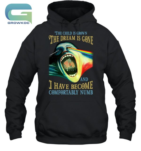 Pink Floyd The Child Is Grown The Dream Is Gone And I Have Become Comfortably Numb T-Shirt