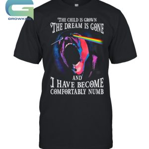 Pink Floyd The Child Is Grown The Dream Is Gone T-Shirt