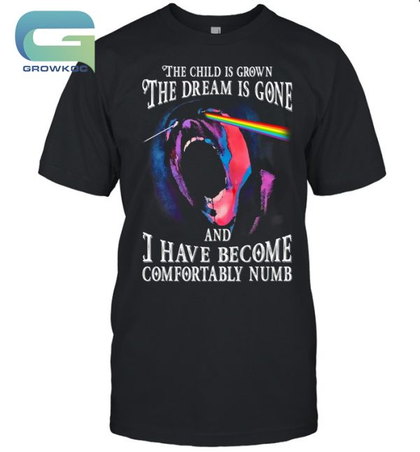 Pink Floyd The Child Is Grown The Dream Is Gone T-Shirt