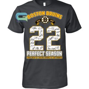 Boston Bruins Perfect Season 2022-2023 Most Wins In A Single Season In NHL History T-Shirt