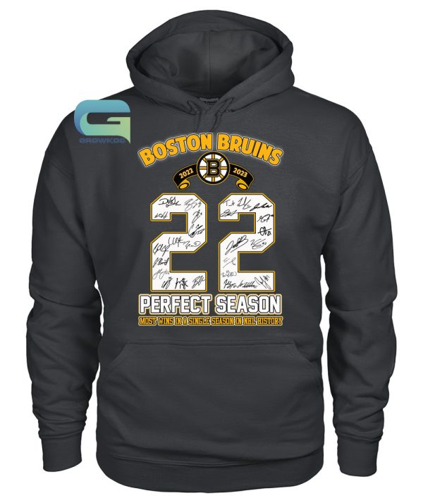 Boston Bruins Perfect Season 2022-2023 Most Wins In A Single Season In NHL History T-Shirt