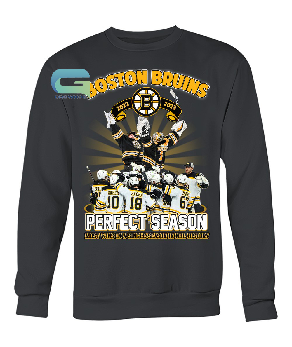Boston Bruins Hockey Team 2022-2023 Most Wins A Single Season In Nhl  History Shirt, hoodie, sweater, long sleeve and tank top