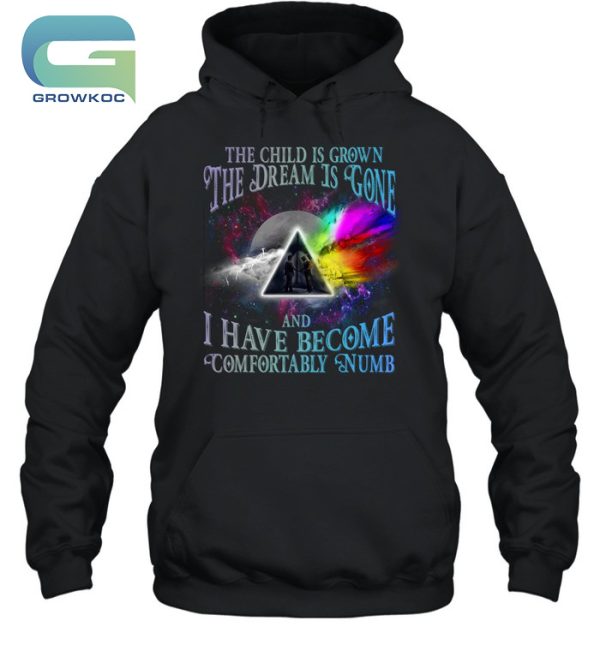 The Child Is Grown The Dream Is Gone And I Have Become Comfortably Numb Pink Floyd Vintage T-Shirt