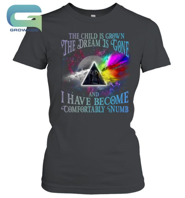 The Child Is Grown The Dream Is Gone And I Have Become Comfortably Numb Pink Floyd Vintage T-Shirt