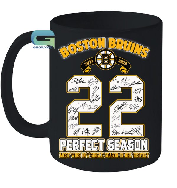 Boston Bruins Perfect Season 2022-2023 Most Wins In A Single Season In NHL History T-Shirt