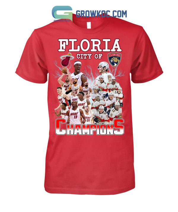 Floria City Of Champions Heat And Panthers T-Shirt