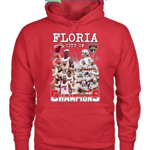 Floria City Of Champions Heat And Panthers T-Shirt