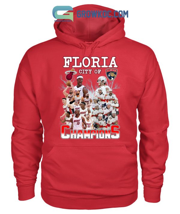 Floria City Of Champions Heat And Panthers T-Shirt