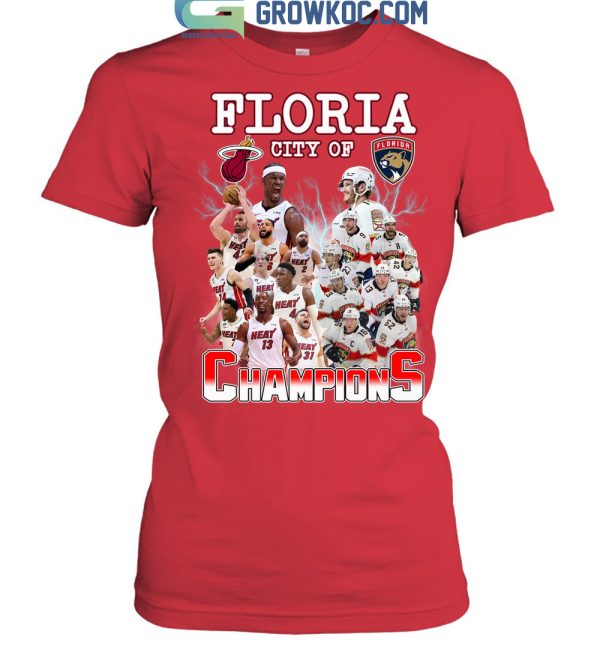 Floria City Of Champions Heat And Panthers T-Shirt