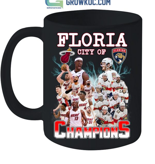 Floria City Of Champions Heat And Panthers T-Shirt