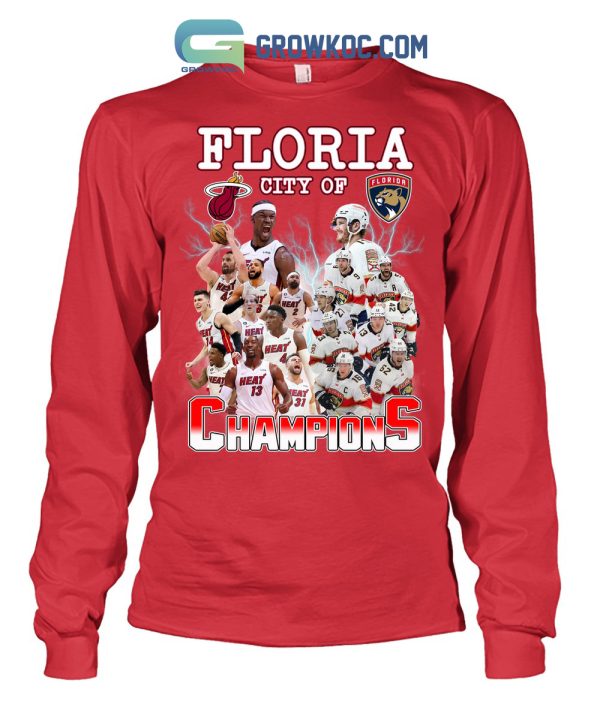 Floria City Of Champions Heat And Panthers T-Shirt