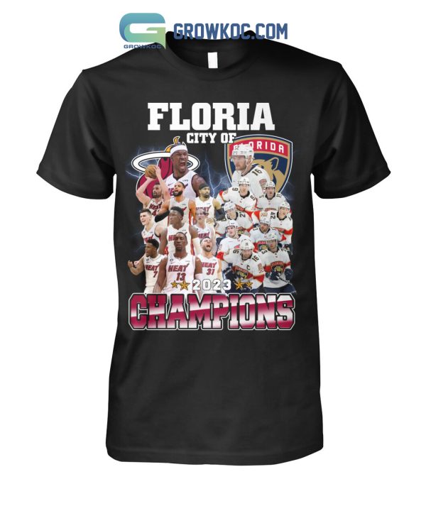 Florida City Of Champions 2023 Miami Heat and Panthers T-Shirt