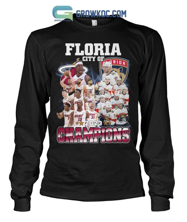 Florida City Of Champions 2023 Miami Heat and Panthers T-Shirt