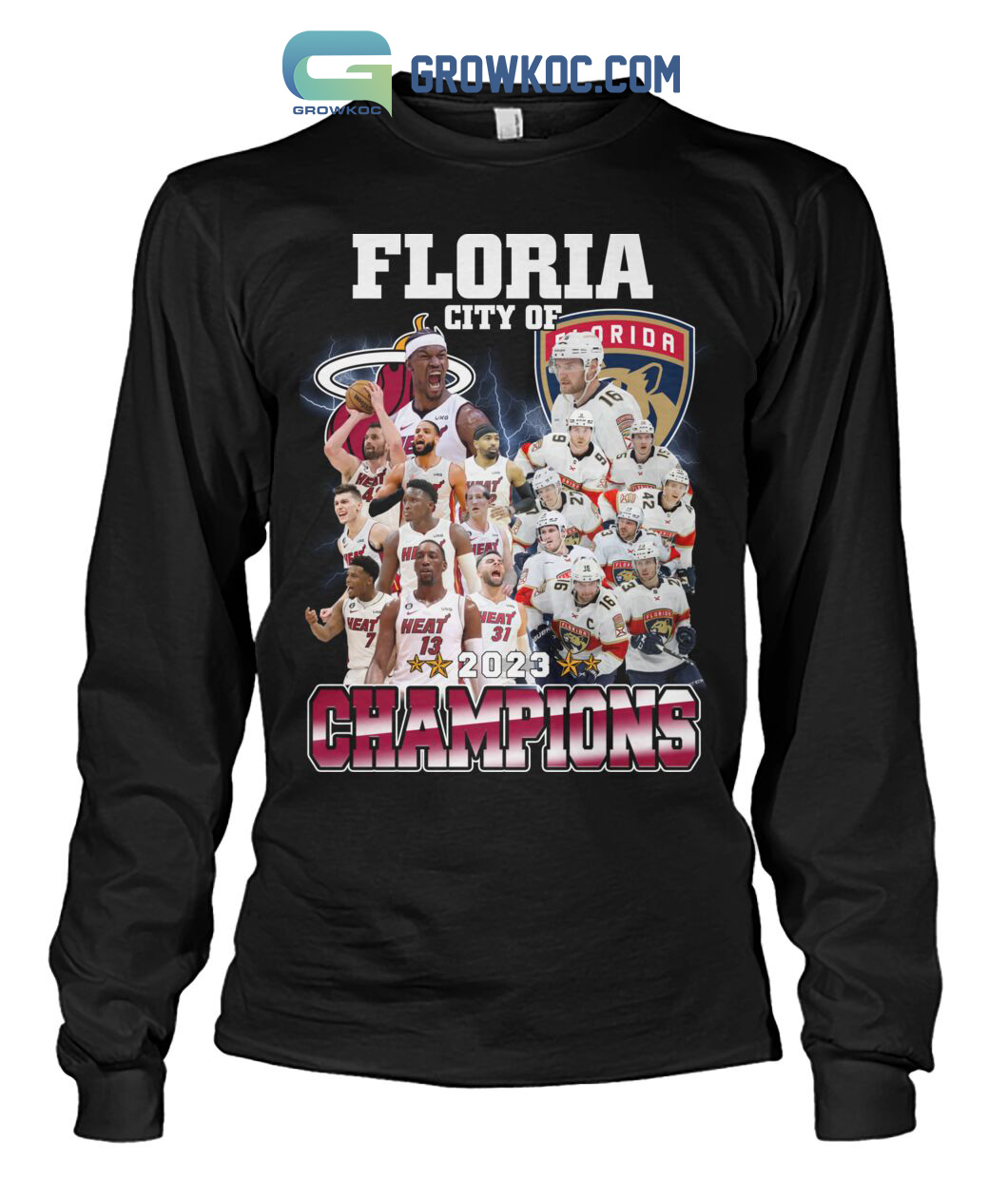 Miami Heat And Florida Panthers Florida City Of 2023 Champions Shirt