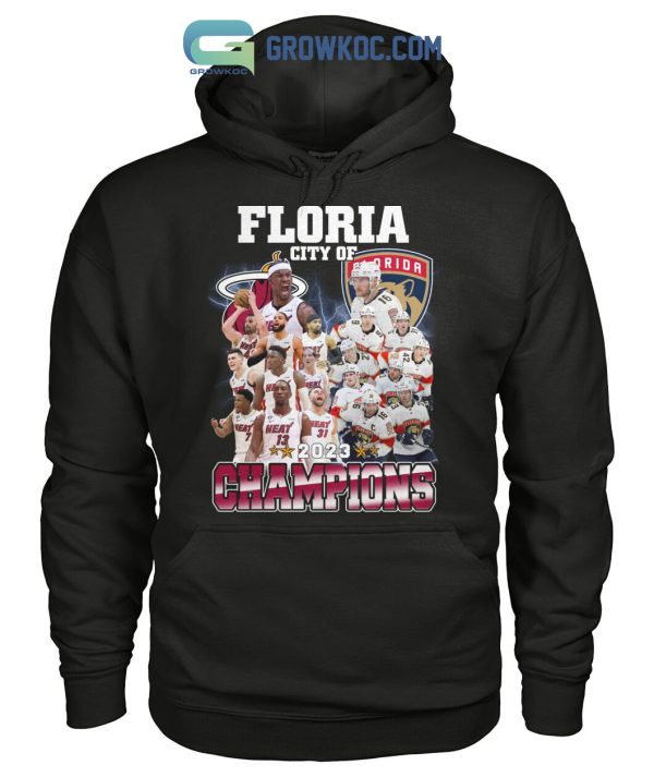 Florida City Of Champions 2023 Miami Heat and Panthers T-Shirt