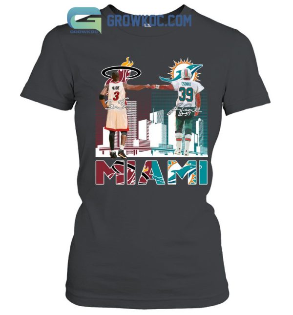 Miami Heat Dolphins City Of Champions T-Shirt