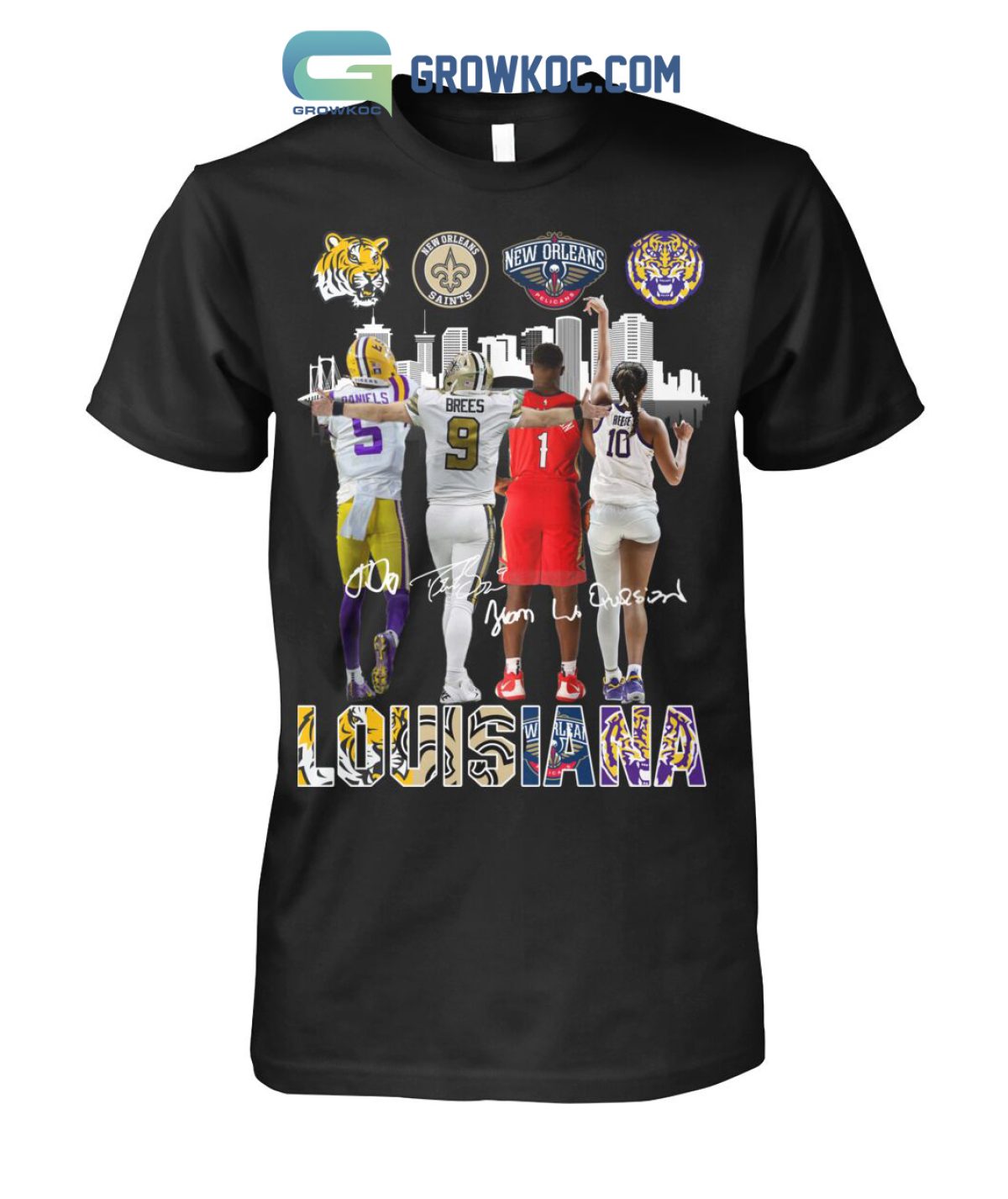 Louisiana Team Colors Football Flag Unisex Long Sleeve Shirt-Black-5XL