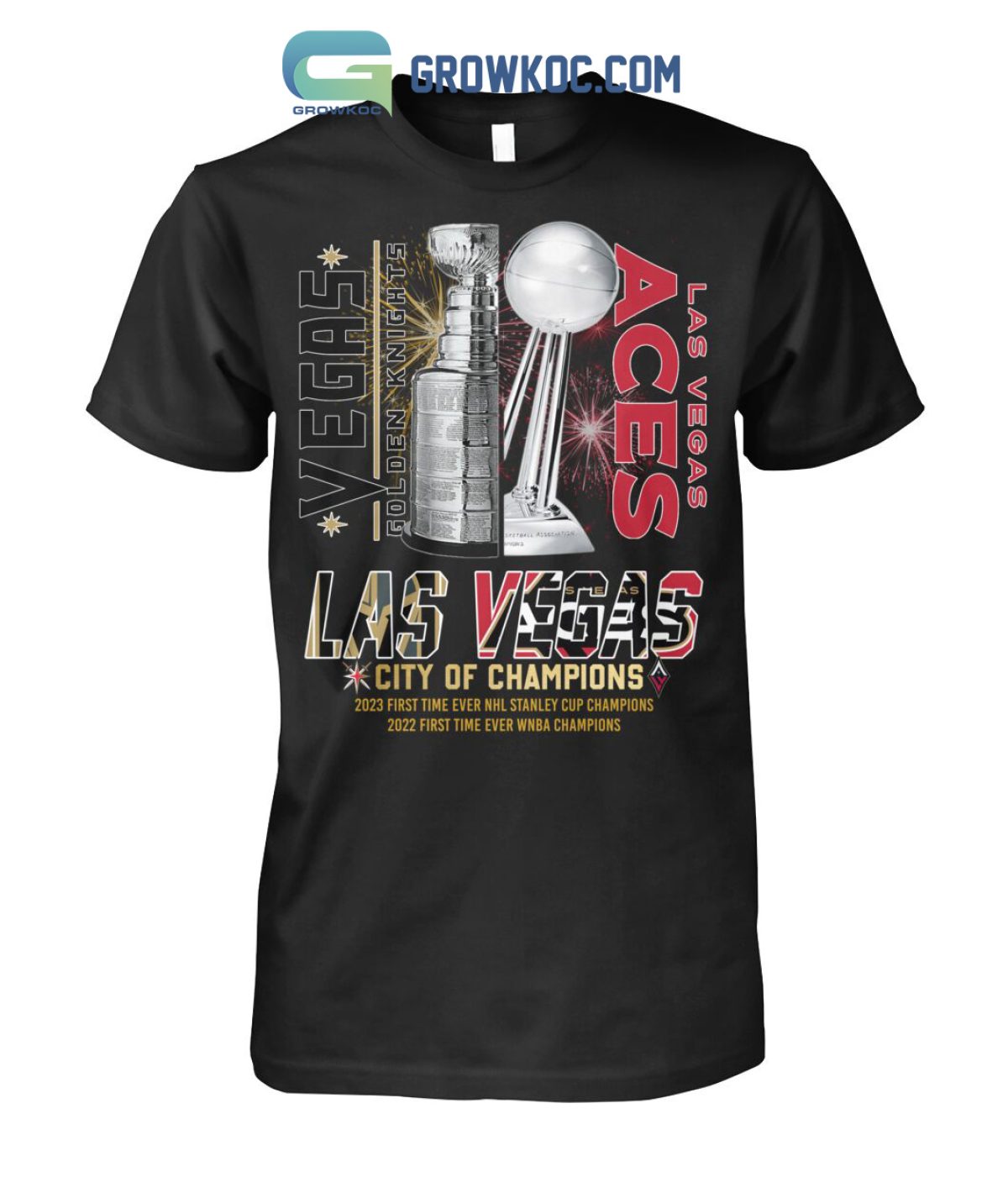 Las Vegas Aces Champs 2022 WNBA Finals Champions Vintage T-Shirt