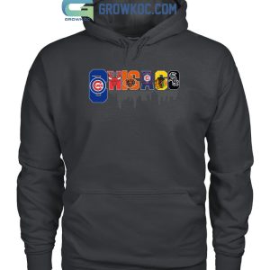 Chicago Cubs White Sox Bears Bull Blackhawks City Champions T Shirt