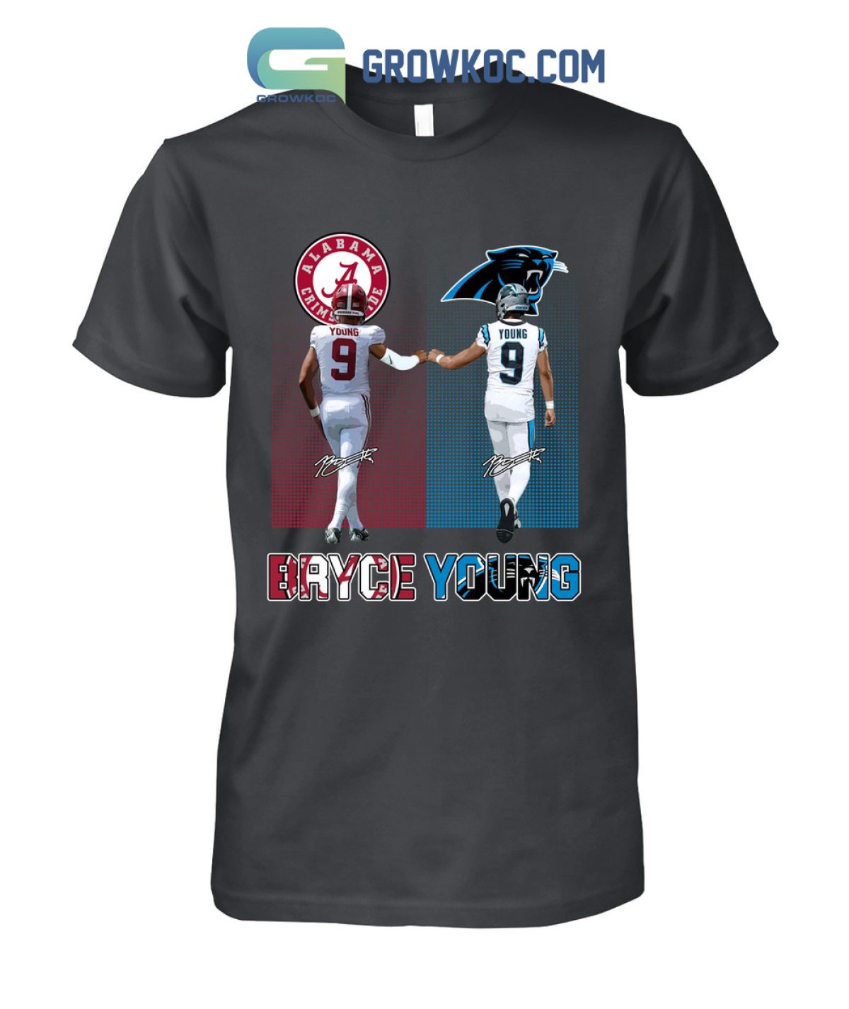 Youth Heather Gray Carolina Panthers Team T-Shirt Size: 2XL