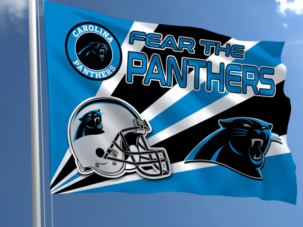 Carolina Panthers LED Wall Helmet