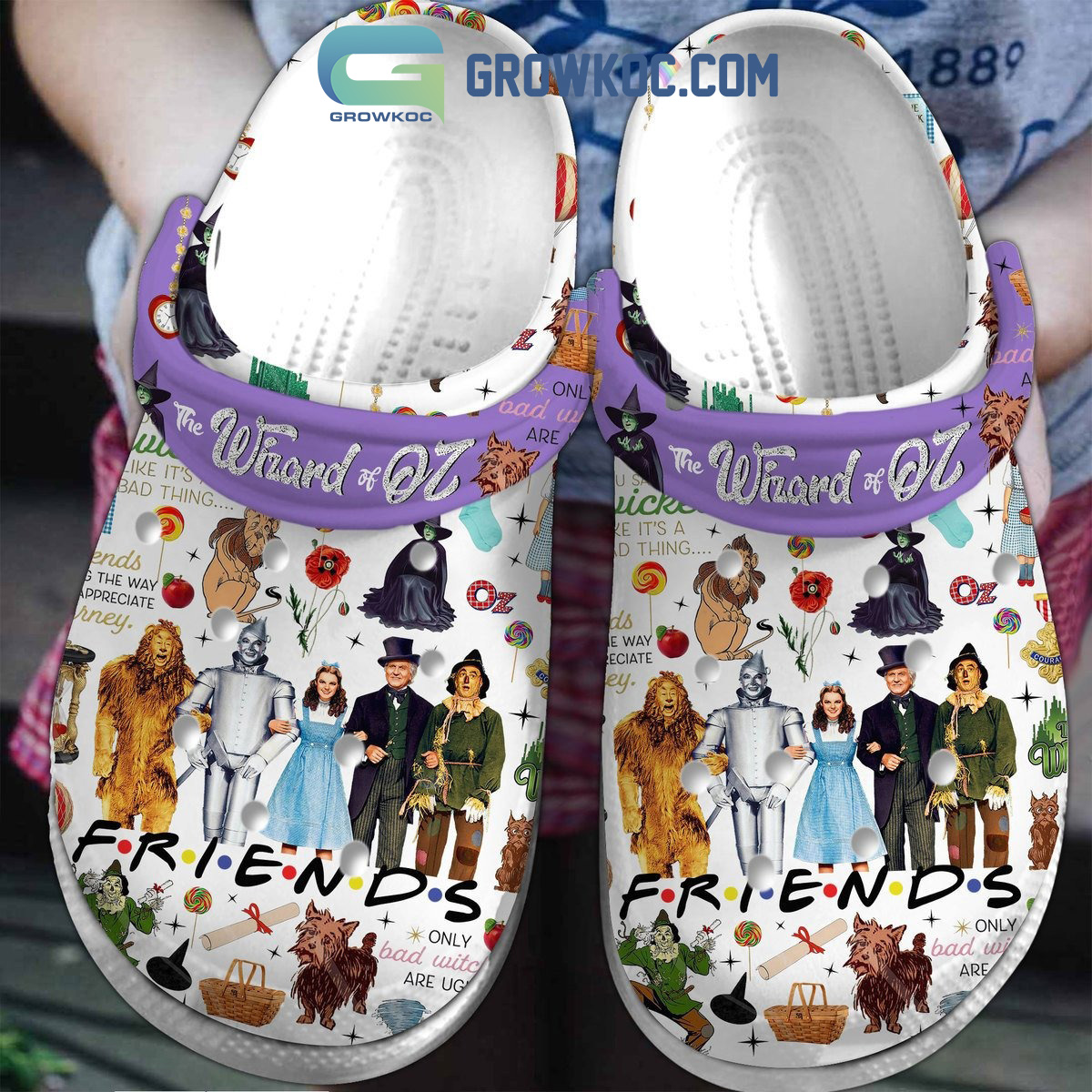 The Wizard Of OZ Friends Only Bad Witch Are Ugly Clogs Crocs