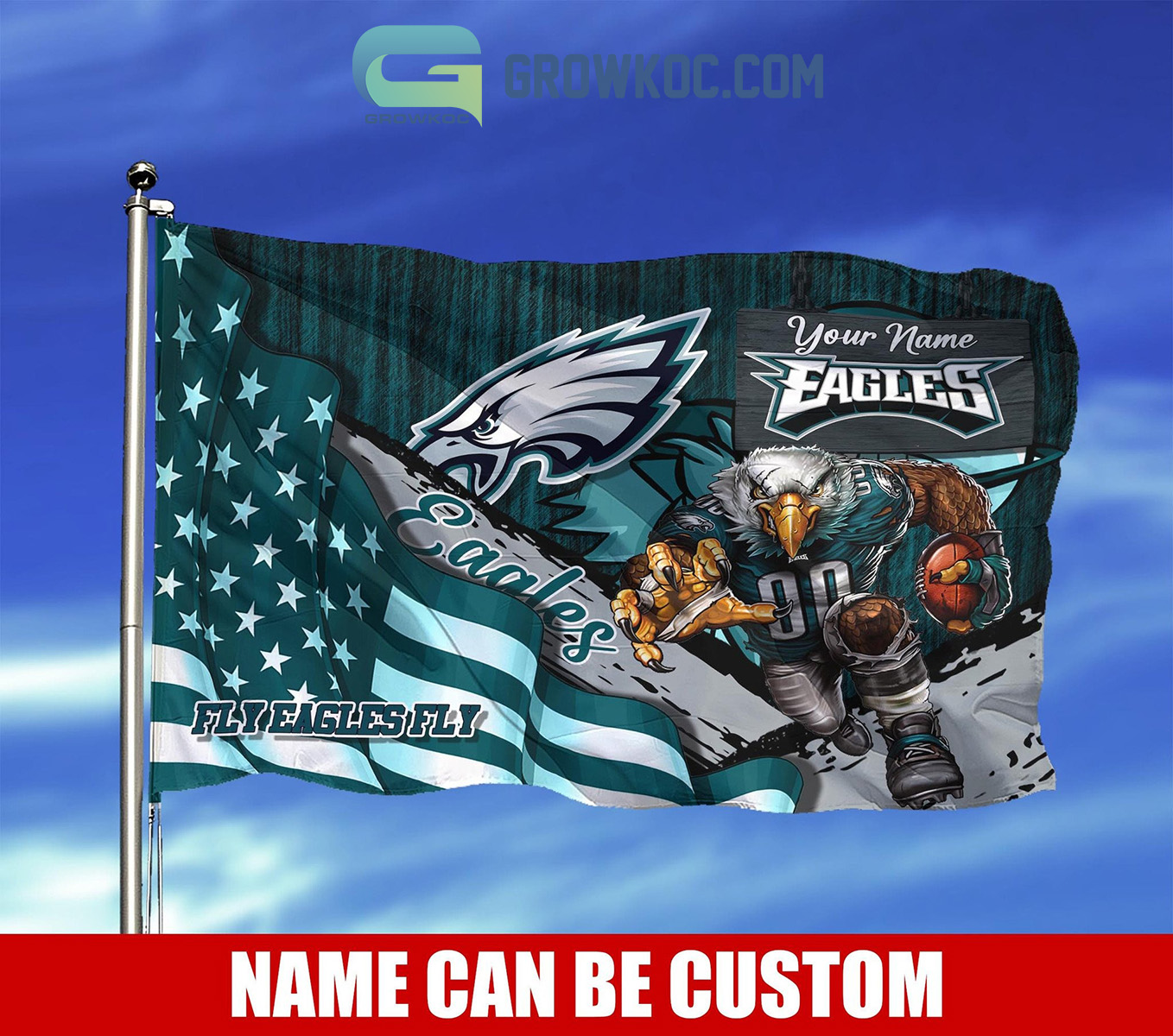 philadelphia eagles flag with pole