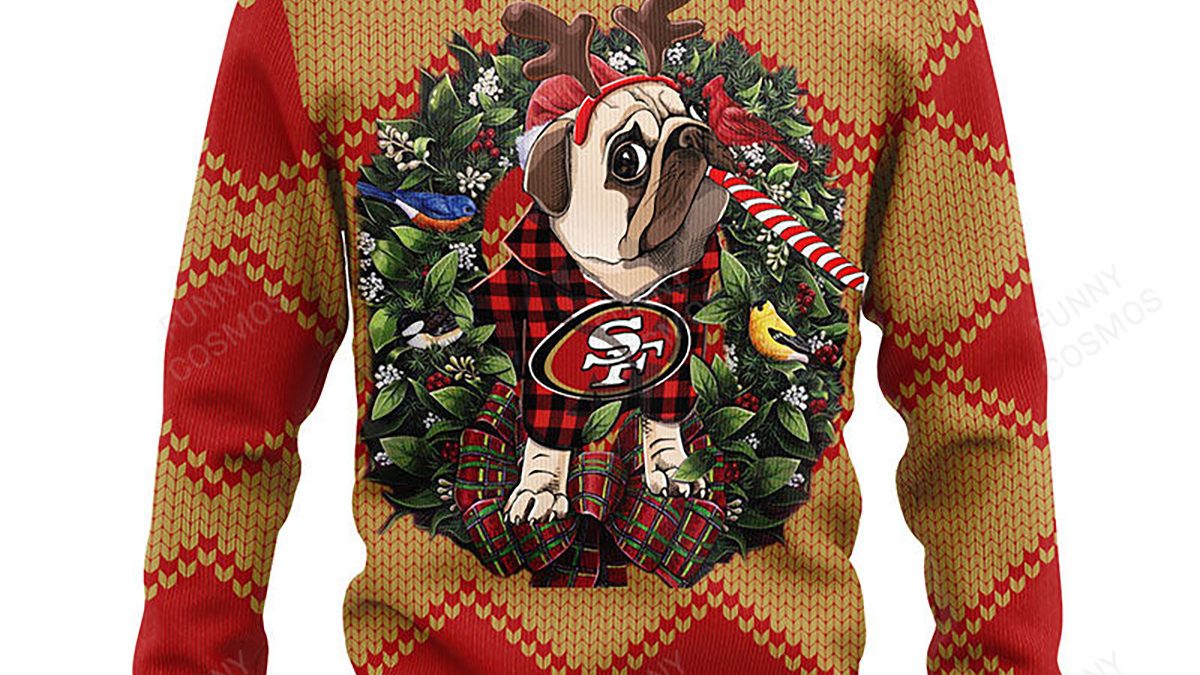 San Francisco 49ers Dog Family Holiday Ugly Sweater, Size: L