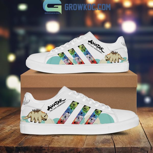 Avatar The Last Airbender White Design Stan Smith Shoes