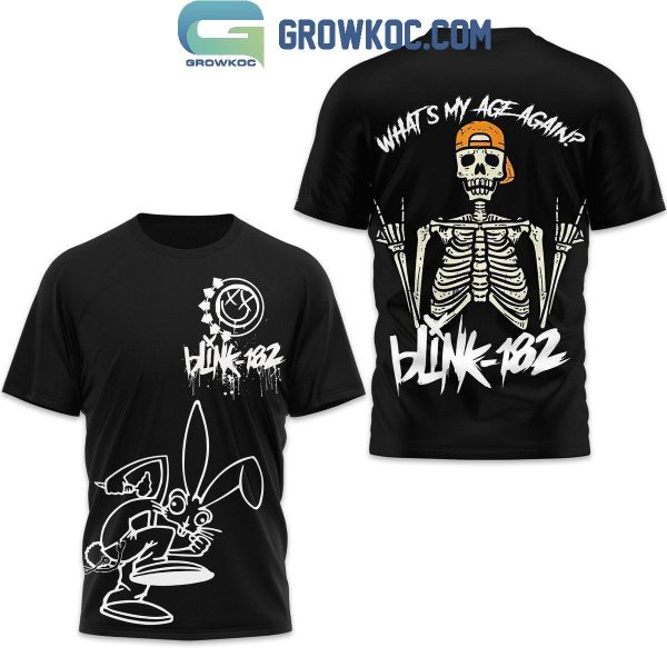 Blink 182 What’s My Age Again Black Hoodie T Shirt