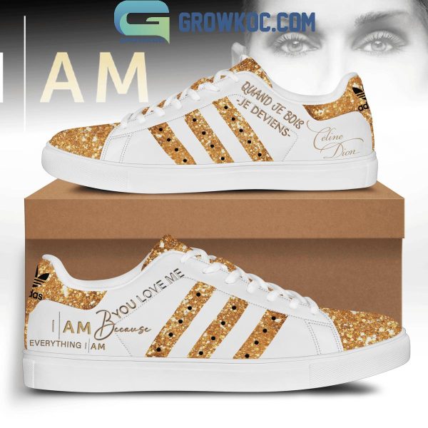 Celine Dion You Love Me Because Everything I Am Stan Smith Shoes