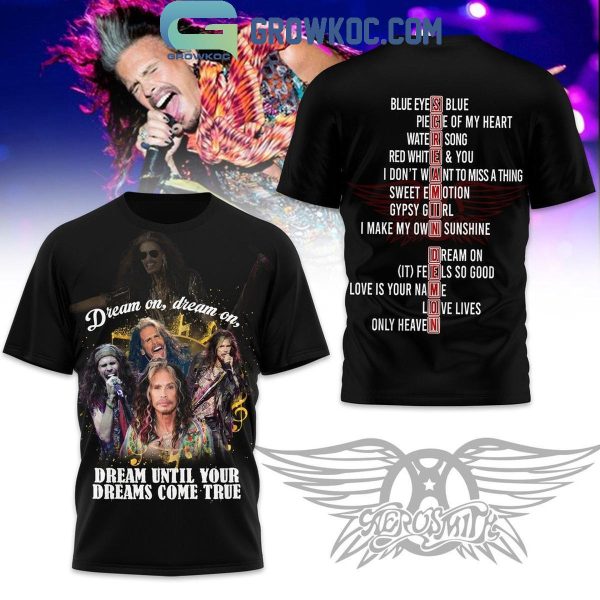 Aerosmith Steven Tyler Dream On Dream In Unti Your Dreams Come True Hoodie T-Shirt