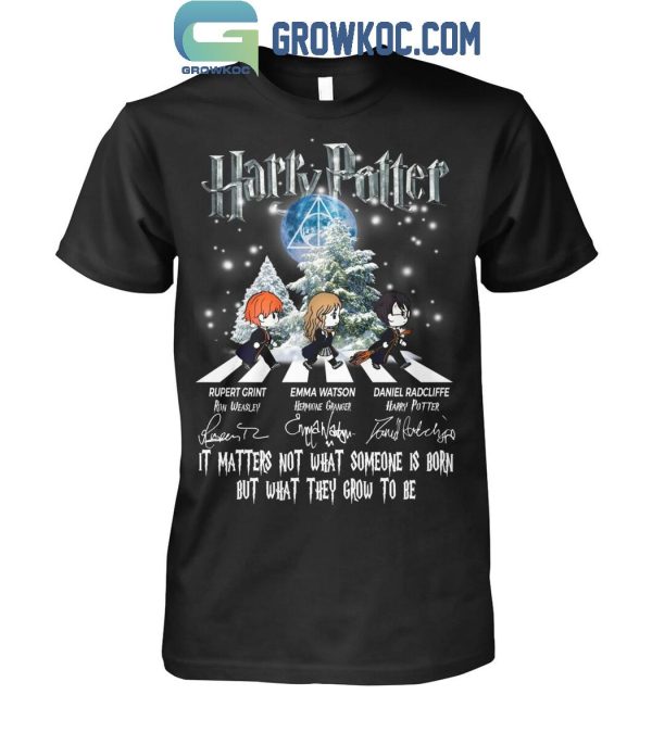 Harry Potter It’s Matters Not What Someone Is Born 2024 T-Shirt