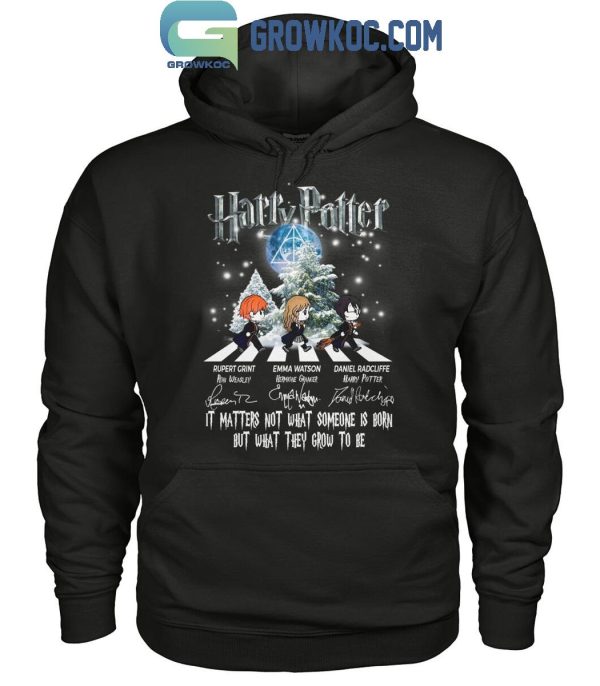 Harry Potter It’s Matters Not What Someone Is Born 2024 T-Shirt